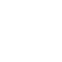 LinkedIn icon