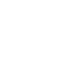 Twitter icon